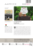 scheda libro