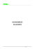 Curriculum STIEL