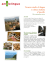 IT SITO flyer Sassello 2014