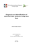 Diagnosis and Identification of Discrete Event Systems using Petri