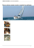 BENETEAU OCEANIS 461 - Tot 4 cab. 8 +2 posti letto