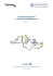 Governance delle reti in sei Paesi del Mediterraneo