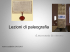 Lezioni di paleografia - Archivio di Stato di Palermo