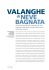 Valanghe di neve bagnata