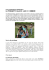 For Kishan - Alice Project