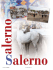 I° Show RegIonale PSa