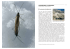 Invertebrates: zoobenthos