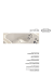 manuale d`uso - MasoniOnline.it