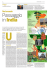 scarica pdf - Umberto Torelli