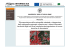 Progetto INTERREG IIIA