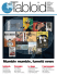 New Tabloid n°5 - 2012 - Ordine dei Giornalisti