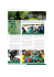 Issue 1 - Moranang 2009 - Royal Bafokeng Holdings