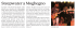 Steepwater a Moghegno - Vallemaggia Magic Blues