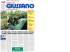 PDF: aprile 2008 - Comune di Giussano