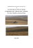 Implementation Report for the Sino-Italy