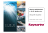 Raymarine