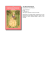 The Rosie Posie Book - Andrea Livi Editore
