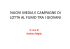 nuovi media e campagne di lotta al fumo tra i giovani