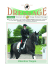 Valentina Truppa - Gruppo Italiano Dressage