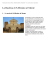 La Basilica di S.Miniato al Monte