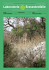 Rivista N.14 Laboratorio Ecostenibile