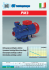 Elettropompe centrifughe a collettore Commutator Centrifugal Motor