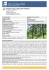 ETICHETTA DELLE TIPOLOGIE FORESTALI