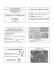 Cryptococcus e Criptococcosi - E-learning
