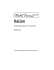 mtm italian introductory:2009