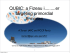 QUBIC: a Fizeau i.........er targeting primordial B