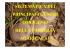 Agaricacei Omogenei - Provincia di Ancona