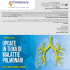 Scarica il programma dell`evento