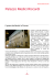 Palazzo Medici Riccardi