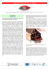NEWSLETTERRARITY No. 10 - 01.2014