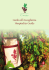 Guida - Strada dei Vini del Cantico