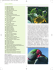 Marzo_2014_INT:Layout 1 - dall`ornitologica drepanum!!!