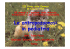 Presentazione di PowerPoint
