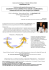 Brochure WorkShoW CCIAA PG Dic13 REV4