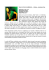 SALLY NYOLO (CAMERUN) 1 ottobre - Auditorium Flog Nativa del