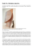 Danh Vo. Fabulous muscles