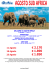OFFERTA-WelcomeSudAfricaAgosto2014