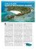 chale island: gioiello dell`oceano indiano