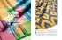 L`ultimo coloratissimo progetto dell`azienda