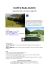 coppa elba gusto 2015 - Elba Golf Club Acquabona