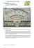 SK LAB FISICA - TESTER ANALOGICO - misura