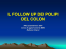 il follow up dei polipi del colon il follow up dei polipi