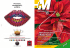 Scarica il Magazine in formato PDF