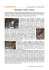 l`articolo completo.