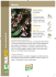 Abelia - Vigorplant