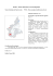 SIFOR - Sistema Informativo Forestale Regionale